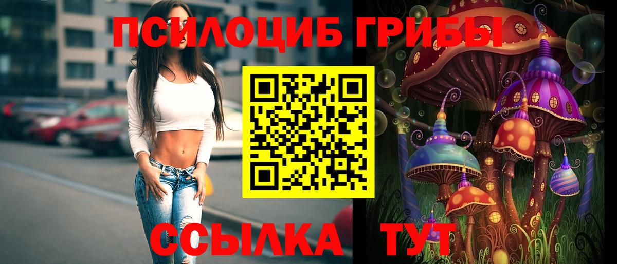 Псилоцибиновые грибы Psilocybe  хочу   Славянск-на-Кубани  Вход с VPN  Псилоцибиновые грибы мухоморы 